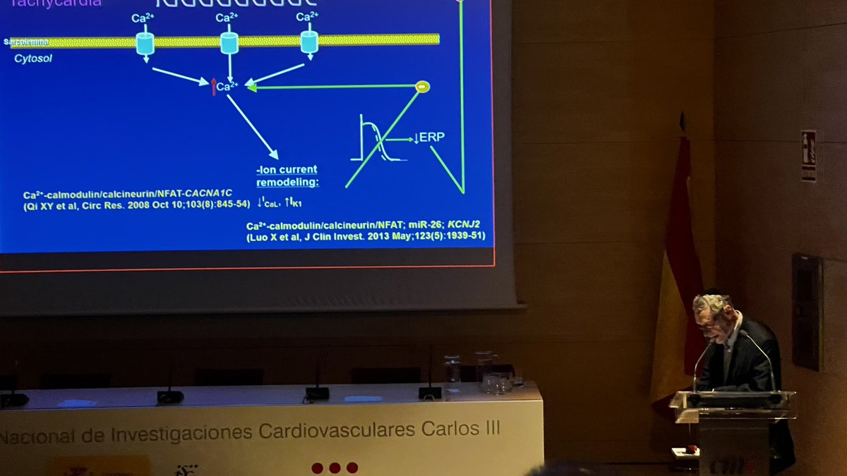 Great inspirational overview on AF research history from Dr. Nattel today at #H2020MAESTRIA meeting. Basic research is tough but essential. Keep trying!
<a href="/CNIC_CARDIO/">CNIC</a> <a href="/H2020Maestria/">MAESTRIA EU H2020 project</a>