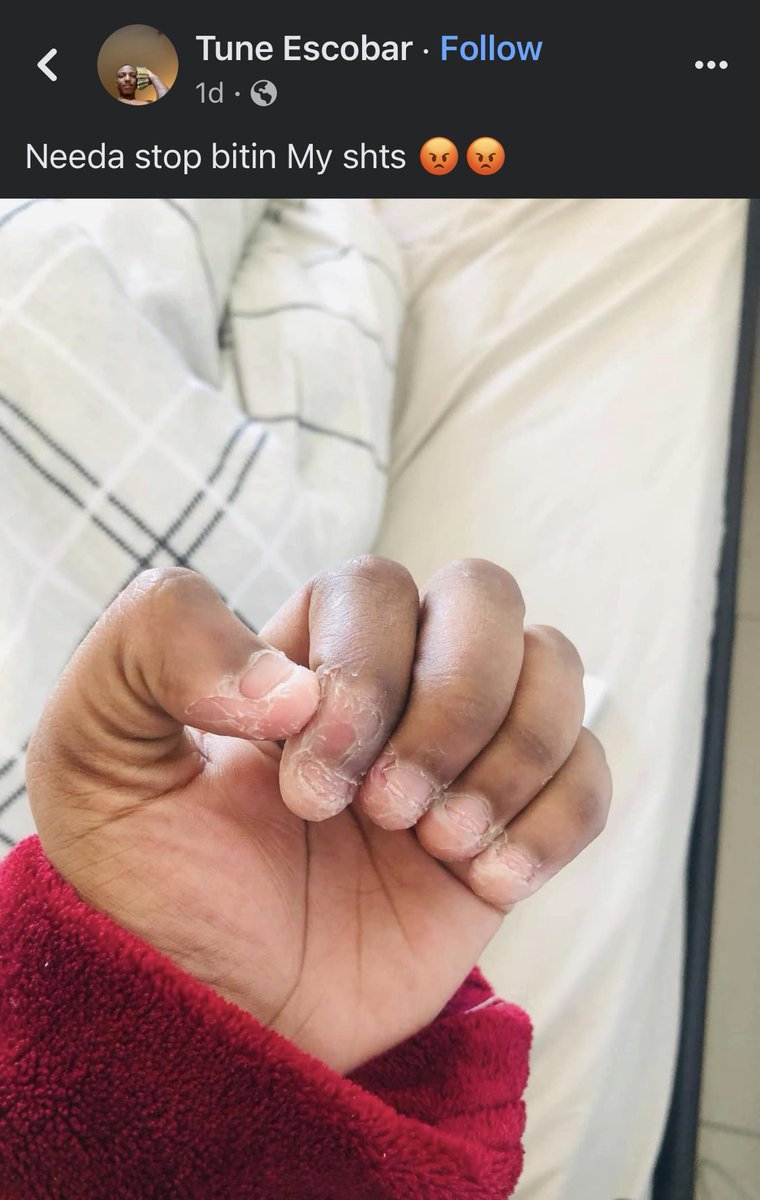 Mesh🇧🇧 tweet media