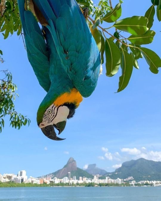 marsquit tweet picture
