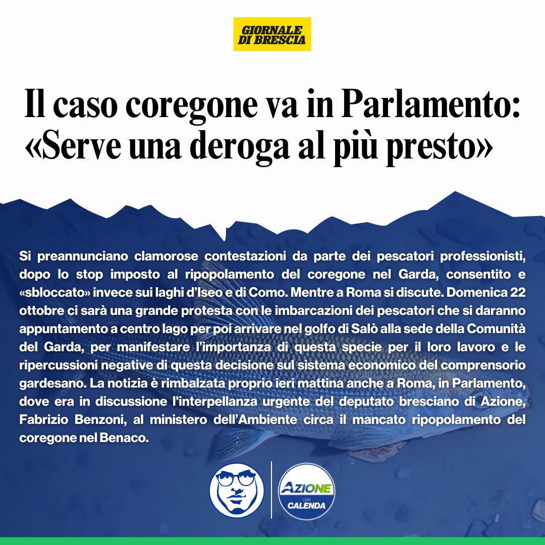 fabriziobenzoni's tweet photo. Domenica 22 ottobre i pescatori del lago di Garda manifesteranno contro la mancata deroga dell’immissione del #coregone nel Lago. Abbiamo portato la questione in Parlamento, ora tutti insieme dobbiamo rivolgerci a Regione Lombardia. https://t.co/tDAWothrrZ