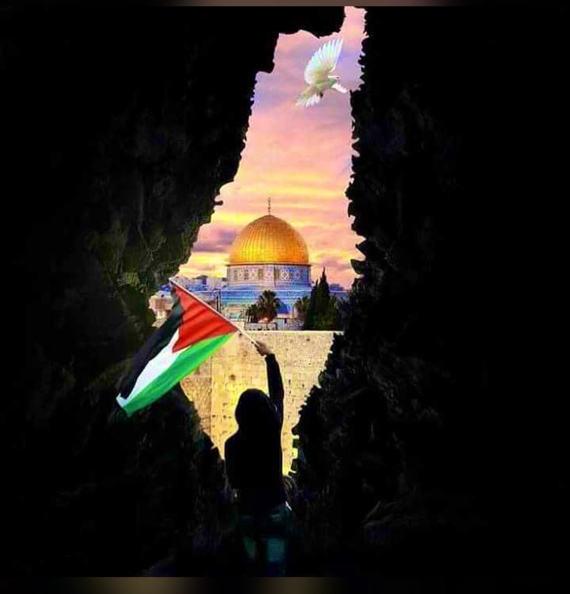AlwhybyNwh's tweet photo. وتحررت فلسطين 

إحتفالا بدحر العدو الصهيوني 
العرب والمسلمين من أنحاء العالم يشاركون الفلسطينيين في فرحتهم 

حلم كل مسلم وعربي بهذه الأخبار التي طال انتظارها 

يالله فرجاً عاجلاً غير آجل 🤲

#طوفان_الأقصى 
#غزة_تحت_القصف https://t.co/LMezZuWUYh