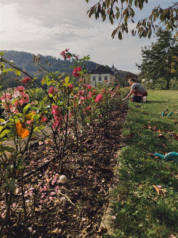 Some snaps from last week’s Volunteer Day! Luckily we had the sun and still some warmer weather on our side 🤩
Colleagues spent the morning gardening or at one of Stemm vun der Strooss community kitchens to serve a warm meal for anyone who came by.
#ByborgCares