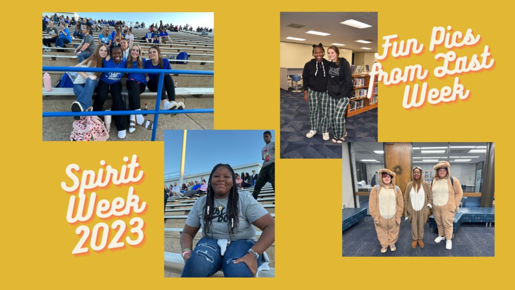 A few more photos from last week.....