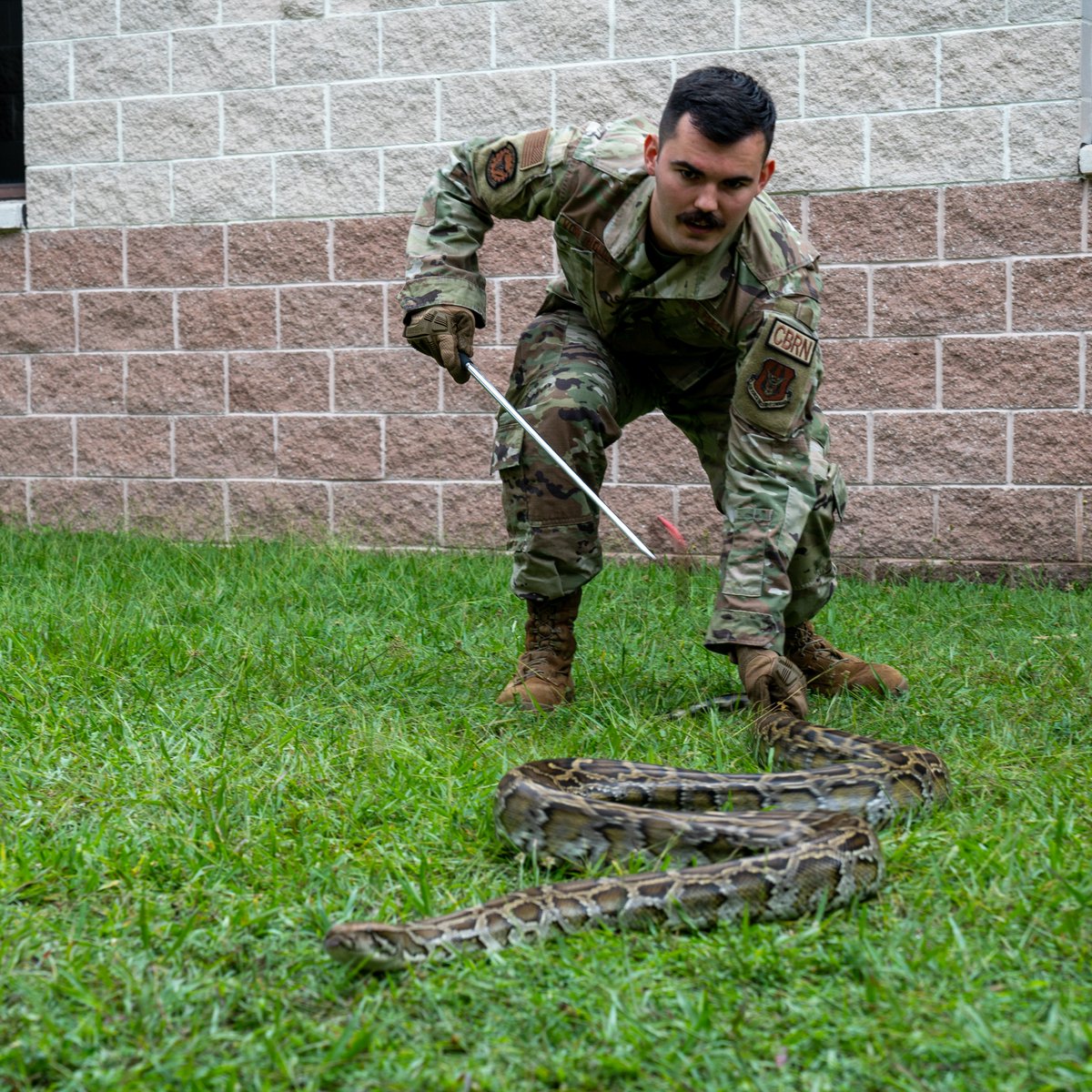 Homestead_ARB's tweet photo. HOLD ON TIGHT! π
Some very brave #HARB members participated in a python handling class over the weekend. The class was hosted on base by the Florida Fish and Wildlife Conservation Commission.
#Python #Snakes #HARBResilient #ReserveResilient https://t.co/nl2nDuAfho