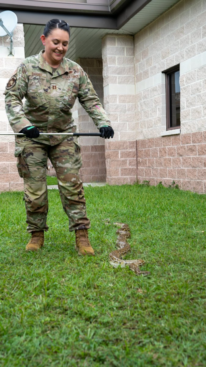 Homestead_ARB's tweet photo. HOLD ON TIGHT! π
Some very brave #HARB members participated in a python handling class over the weekend. The class was hosted on base by the Florida Fish and Wildlife Conservation Commission.
#Python #Snakes #HARBResilient #ReserveResilient https://t.co/nl2nDuAfho