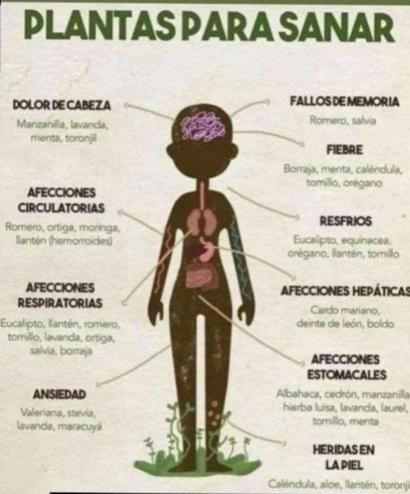 elzorrotacneno's tweet photo. Medicina olvidada por los médicos. https://t.co/rtNF45dY8g