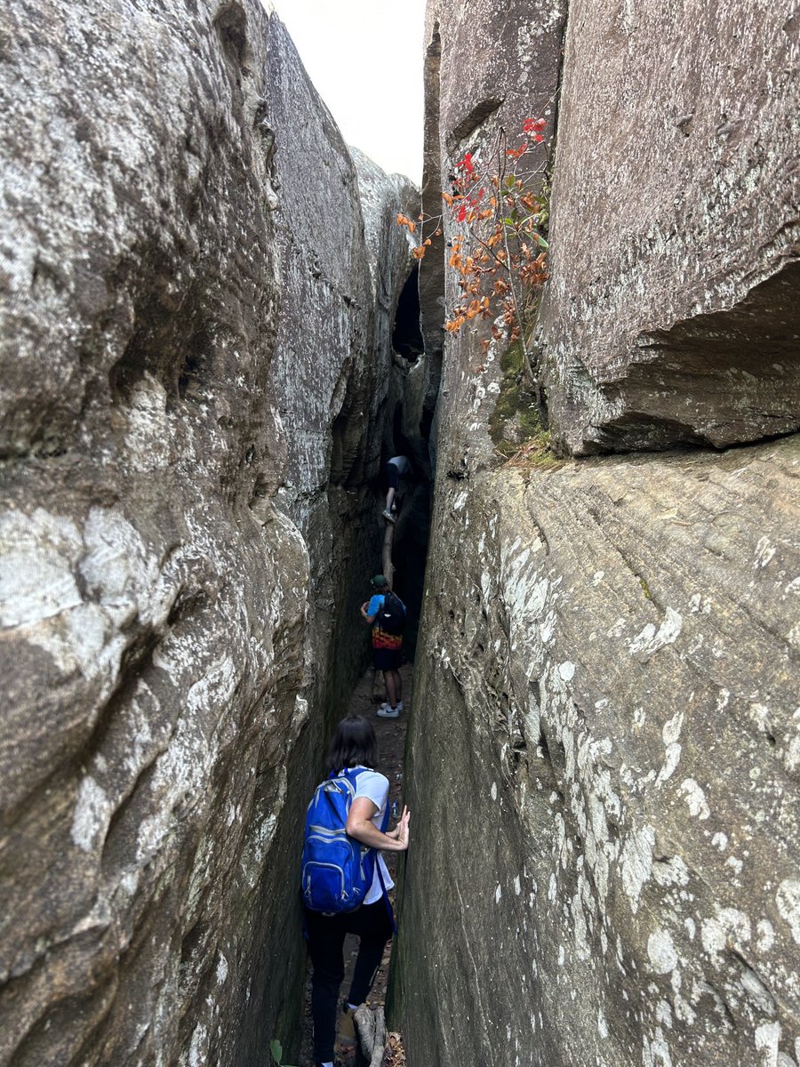 UC ΒΘΠ tweet media