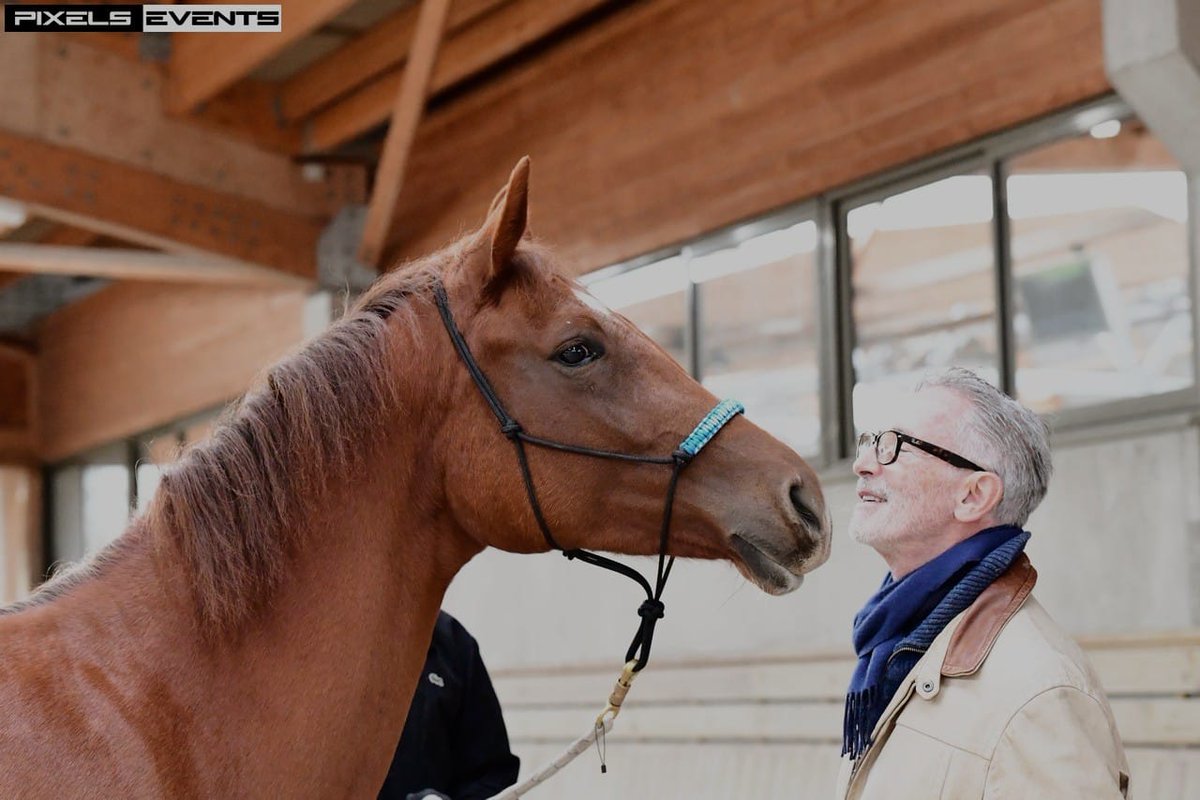 DeauvilleFr's tweet image. Les #EquidaysCalvados 🐎 Le programme du jour : visite du fonds cheval des @Franciscaines_, de l'hippodrome et d'un haras, portes ouvertes de l'@AcadmieDelaveau, éthologie au @PIC_Deauville.
ℹ️ Info 👉 bit.ly/equidays-2023
@CalvadosDep
#MonCalvados #Calvados #Cheval #Normandie