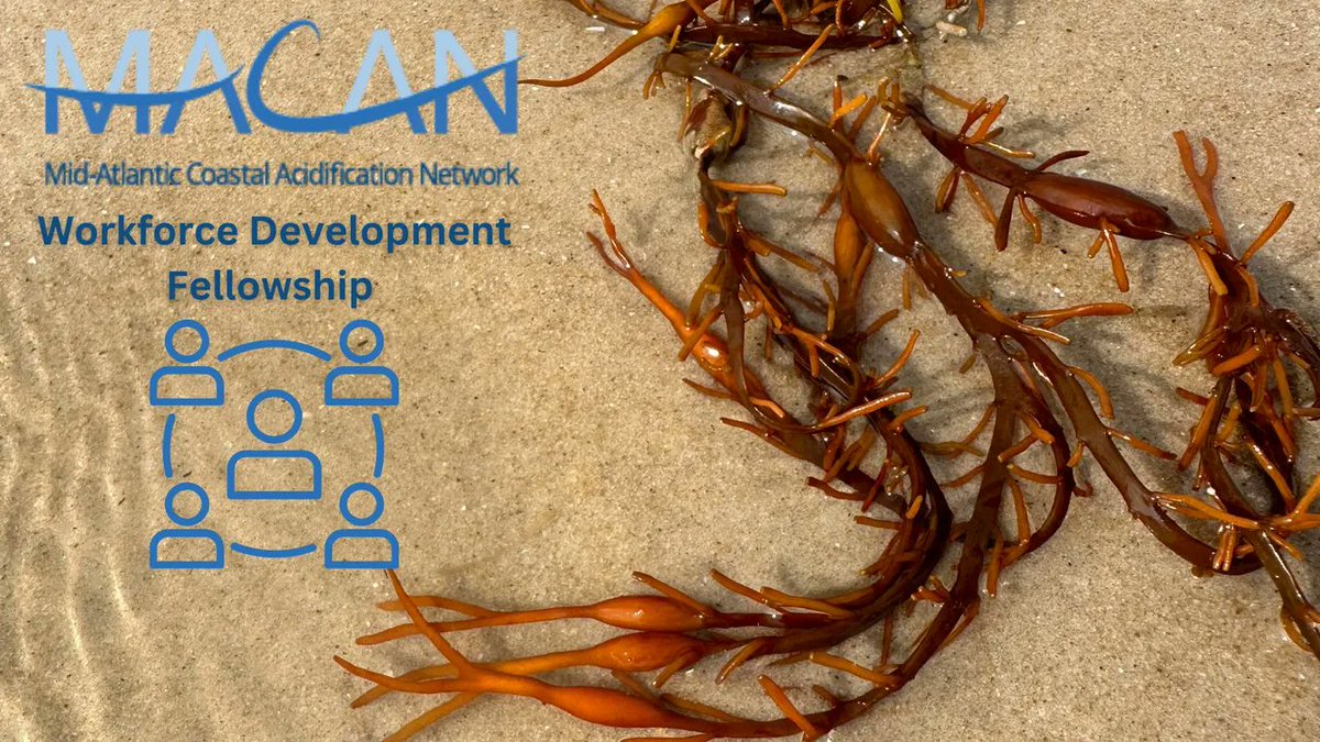 📝Paid Fellowship Alert for students!

<a href="/maracoos/">MARACOOS</a> and Mid-Atlantic Coastal Acidification Network are offering a fellowship for underrepresented minority groups in the field of coastal and #OceanAcidification. 

Applications are due October 31: 
midacan.org/news/f/macan-w…