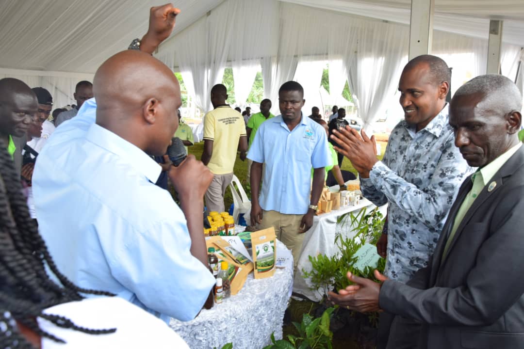 RWEBITABA ZARDI tweet media