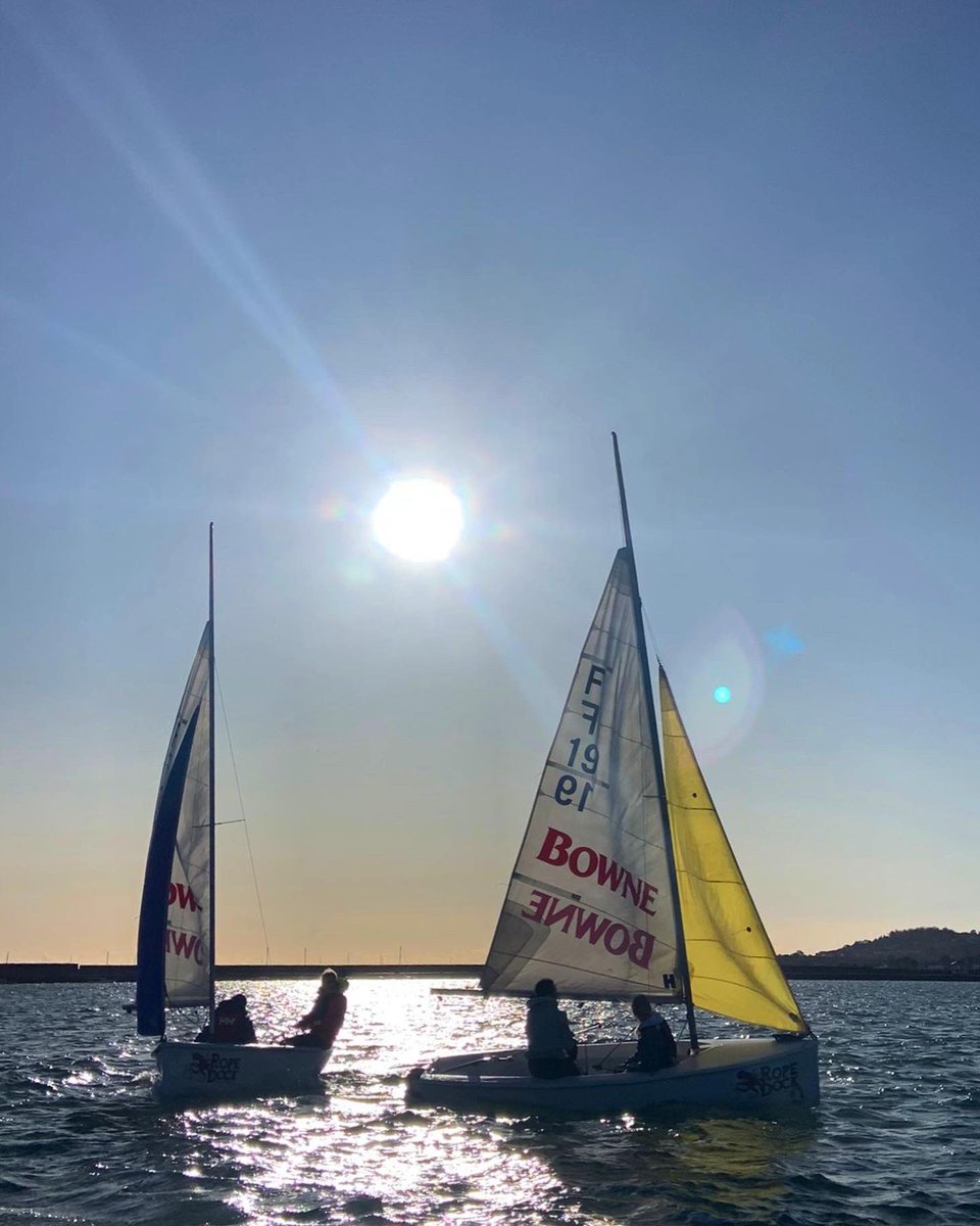 UCD Sailing Club tweet media