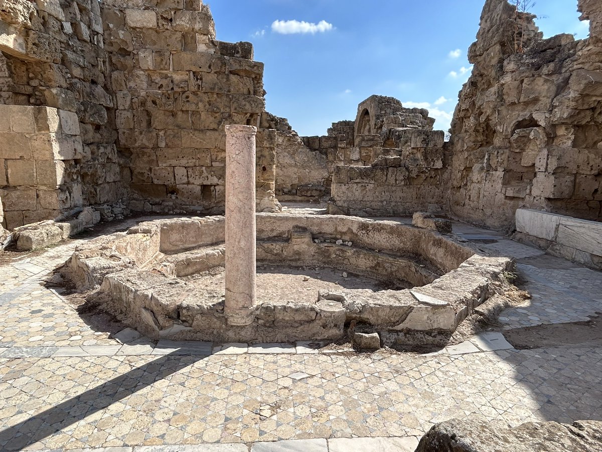 ClassicsMelb's tweet photo. Day 11 of the #CyprusTour included the ruins of Salamis, including its streets, theatre, palaestra and baths. https://t.co/yV9q9dDsHV
