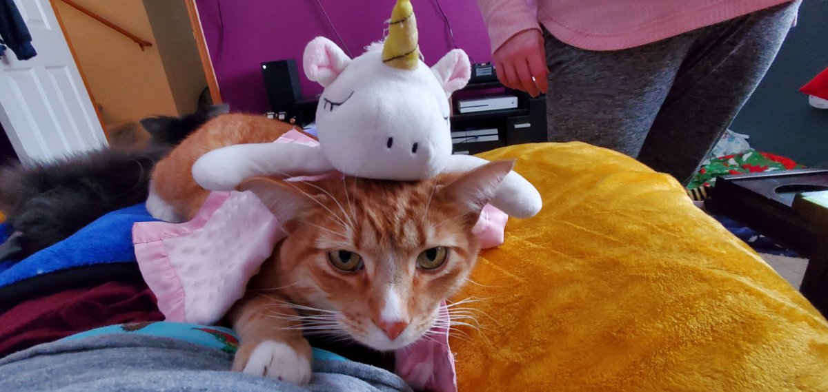 Poondo_'s tweet image. #upwithkrem