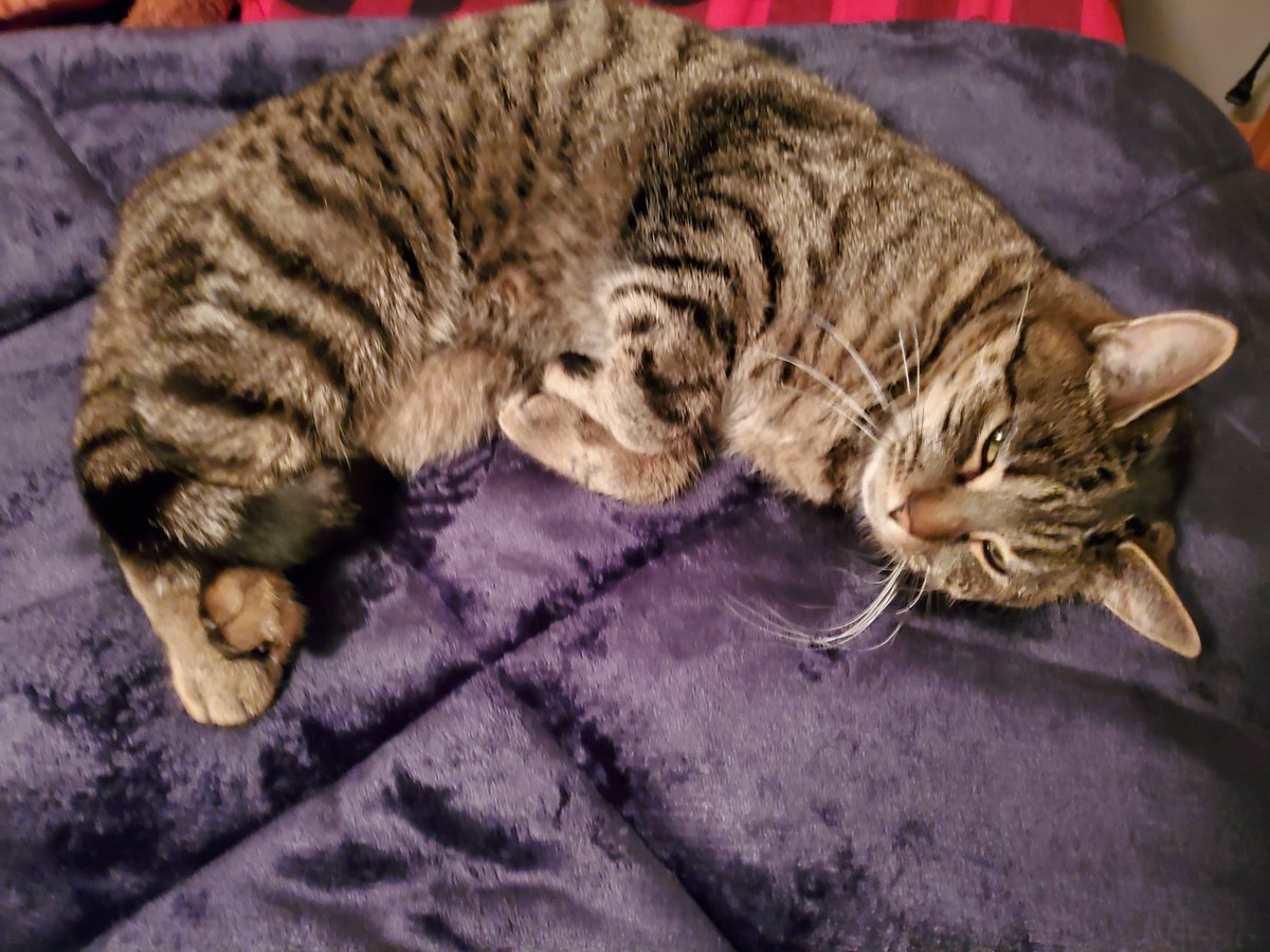 Poondo_'s tweet image. #upwithkrem