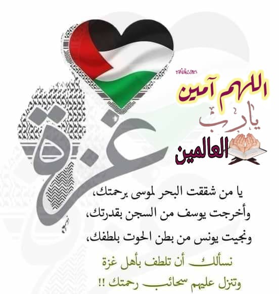 altamira1122's tweet photo. غزة ولي عزة ولي في الكون اعلي مقام 
نصركم الله اخواننا المرابطين بغزة وثبت اقدامكم 
انتم حماة الدين والعقيدة انتم الابطال .كان الله معكم في كل وقت وحين . https://t.co/tp4OhPwycV