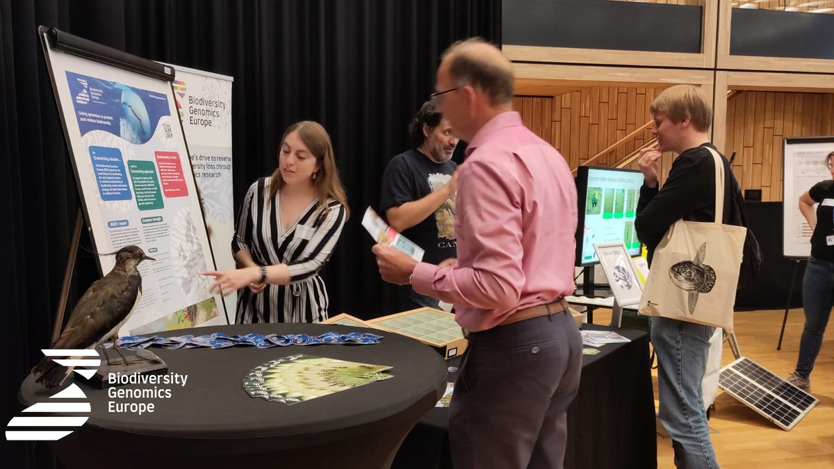 #BGE news from the Netherlands! 🇳🇱 On October 7th, @Naturalis_Sci hosted the ‘Barcoding NL’ event. #BGE joined forces with @AriseBiodivers1 to bring together and engage dozens of amateur expert collectors from across the country. 👇Visit: biodiversitygenomics.eu/2023/10/16/bar… @REA_research