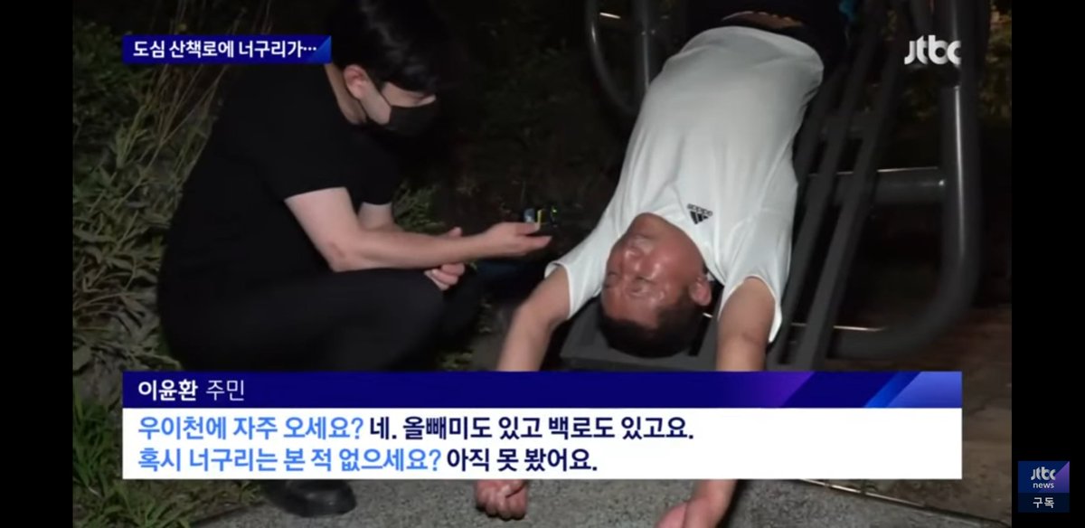 WkfxjfrP's tweet image. 서울 도심에 너구리 출몰했을 때 서울사람들 인터뷰 봤는데 다들 레전드임