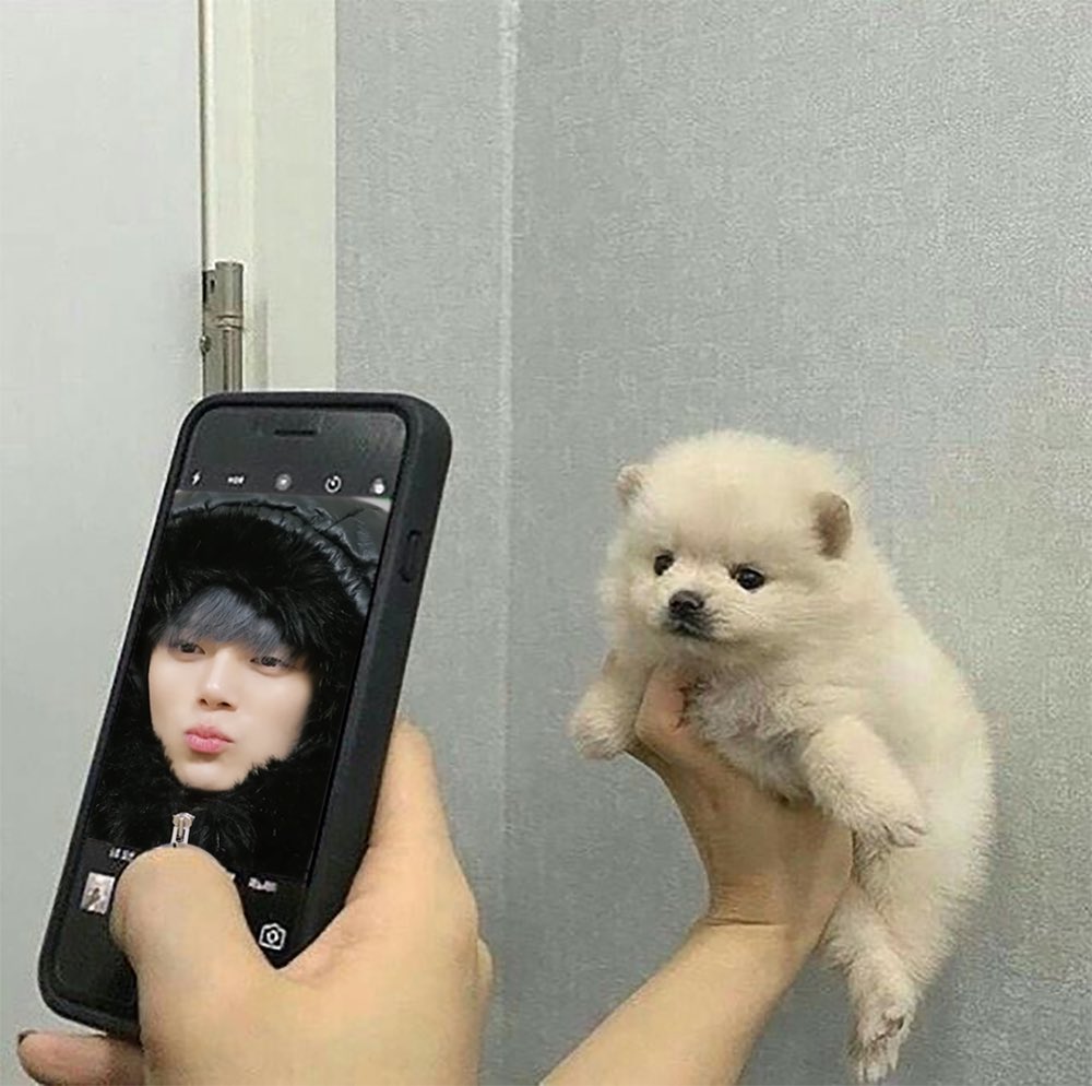렛츠고래 샵무드