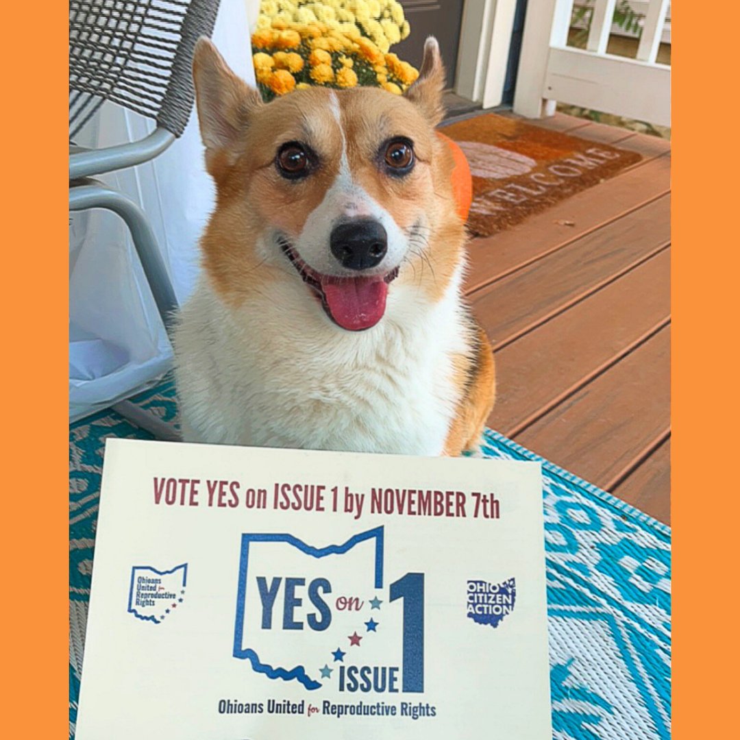 Ohio Citizen Action tweet media