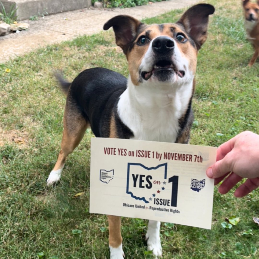 Ohio Citizen Action tweet media