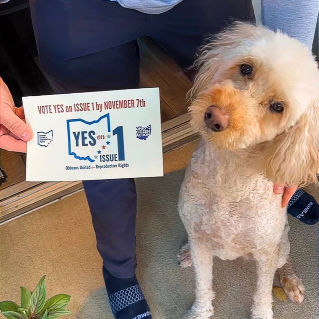 Ohio Citizen Action tweet media