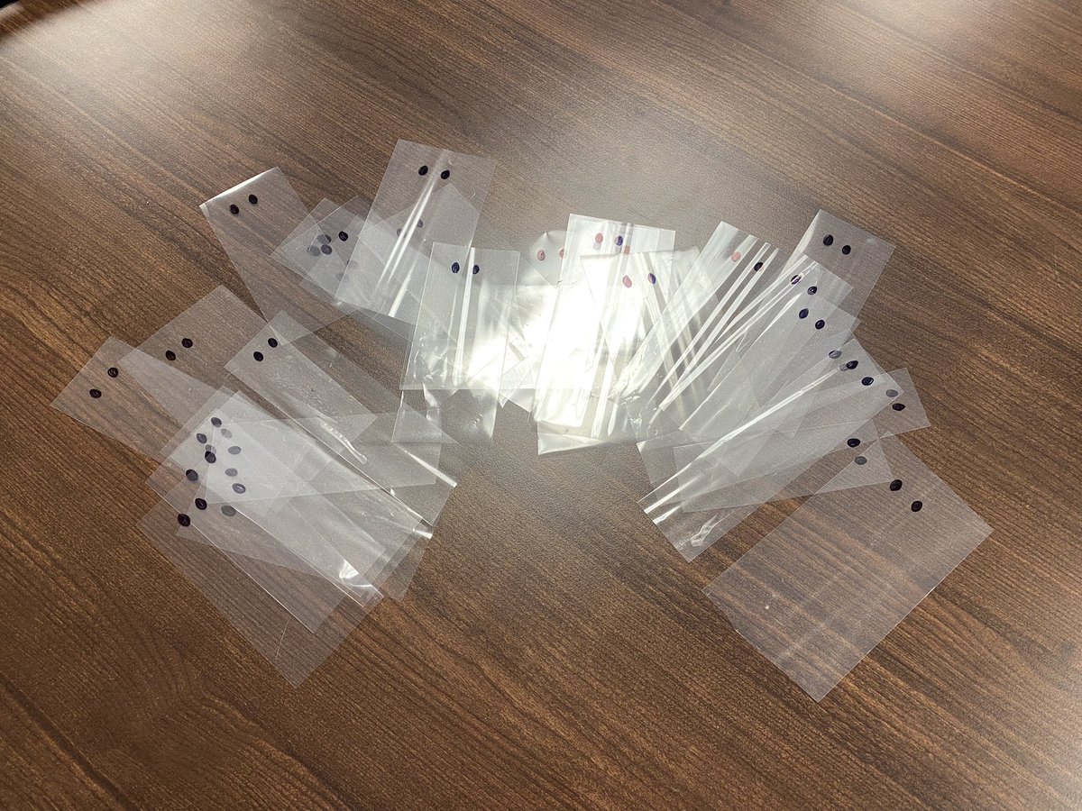 Natalie Dildy tweet media