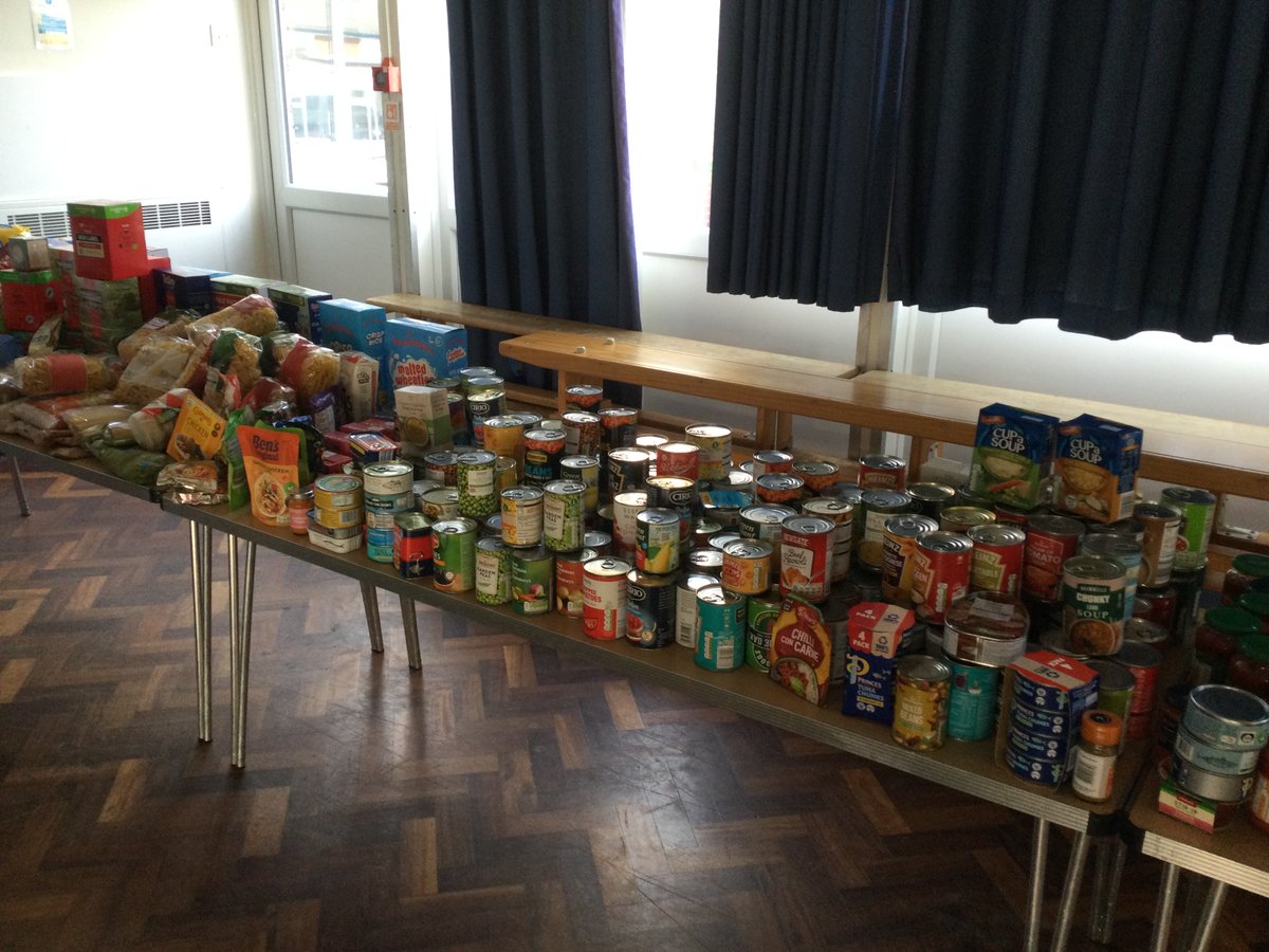 Moss Hey Primary tweet media