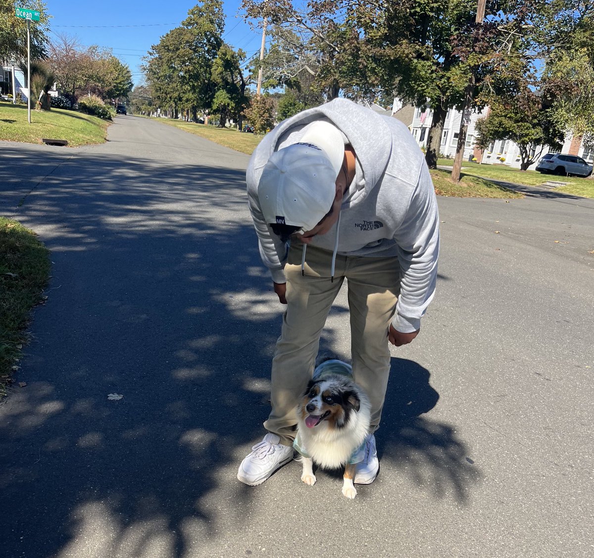 alexaroot's tweet photo. I can't believe I have a dog now 🥹 https://t.co/lAMVqtCUpR