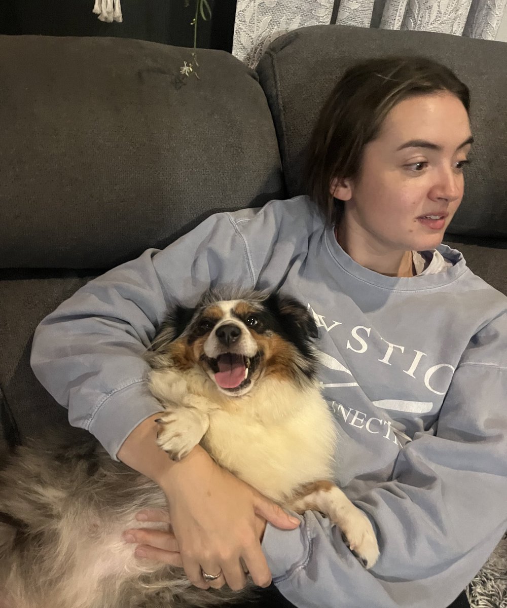 alexaroot's tweet photo. I can't believe I have a dog now 🥹 https://t.co/lAMVqtCUpR
