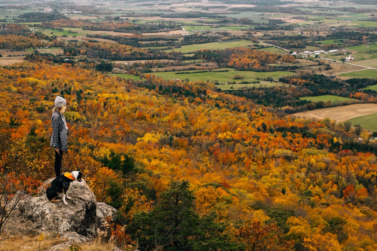 A person and a dog stand at an overlook at a hiking trail with fall foliage stretching below.