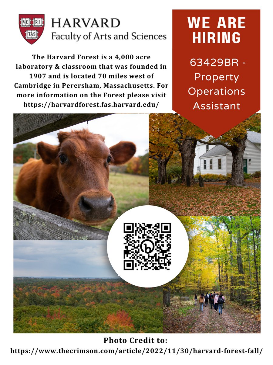 HarvardFASJobs's tweet photo. We have a great opportunity at the beautiful Harvard Forest in Petersham, MA! 🐻This is an indoor/outdoor hands-on facilities role (chainsaw work, logging operations, mowing, etc.) 
 https://t.co/RTFeBnYWBE
#harvard #forest #petersham #facilities #logging #jobs #hiring https://t.co/J2tCaEknMO