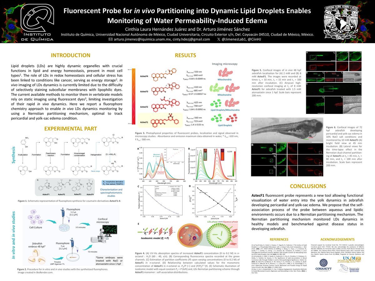 Cinthia Hernández (@ciinhj) on Twitter photo Hey <a href="/LatinXChem/">LatinXChem</a> ! This is our work 'Fluorescent Probe for in Vivo Partitioning into Dynamic LDs Enables Monitoring of Water Permeability' #LatinXChem23 #LatinXChemPhys #Phys14 <a href="/RSC_Energy/">RSC Energy Journals</a> <a href="/PCCP/">PCCP</a> <a href="/ChemPhysChem/">ChemPhysChem</a> #ZebraFish
Any question, advice or comment is very welcome Hey <a href="/LatinXChem/">LatinXChem</a> ! This is our work 'Fluorescent Probe for in Vivo Partitioning into Dynamic LDs Enables Monitoring of Water Permeability' #LatinXChem23 #LatinXChemPhys #Phys14 <a href="/RSC_Energy/">RSC Energy Journals</a> <a href="/PCCP/">PCCP</a> <a href="/ChemPhysChem/">ChemPhysChem</a> #ZebraFish
Any question, advice or comment is very welcome