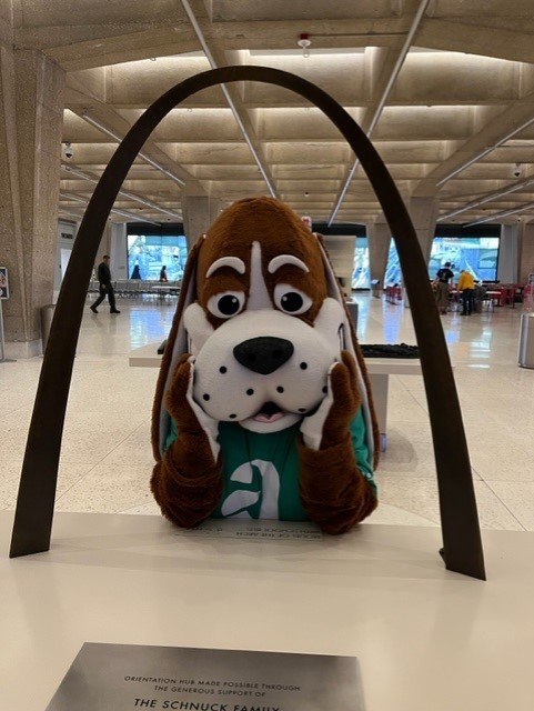 Arsenal Credit Union tweet media