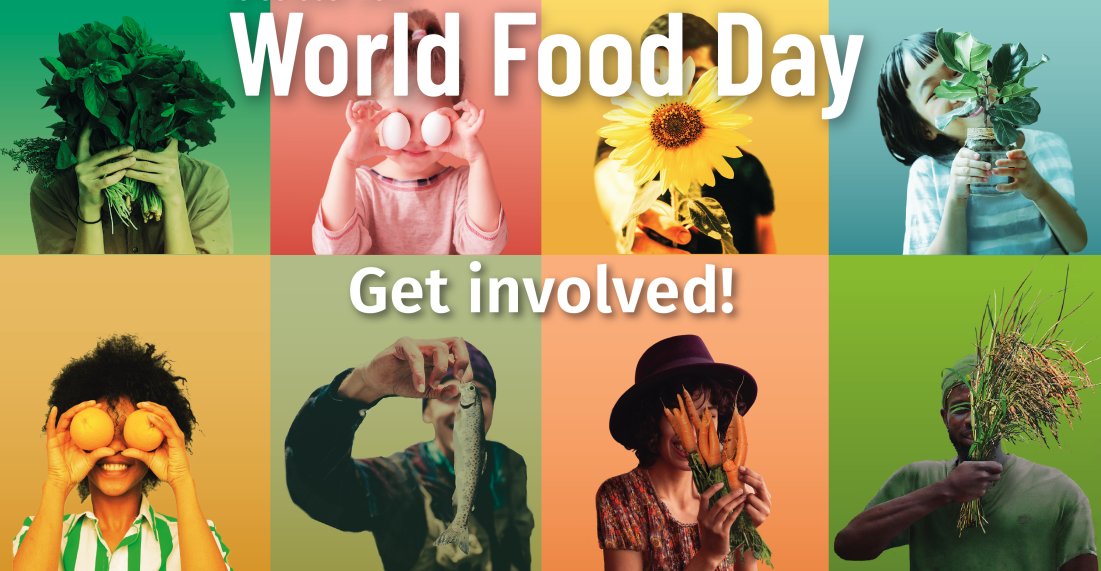 A study by The Hunger Project revealed that 240 billion people do not have sufficient access to healthy food. This #WorldFoodDay, support nonprofits in their life-saving efforts to eliminate hunger worldwide. brightfunds.org/funds/global-h… #UNSDG2