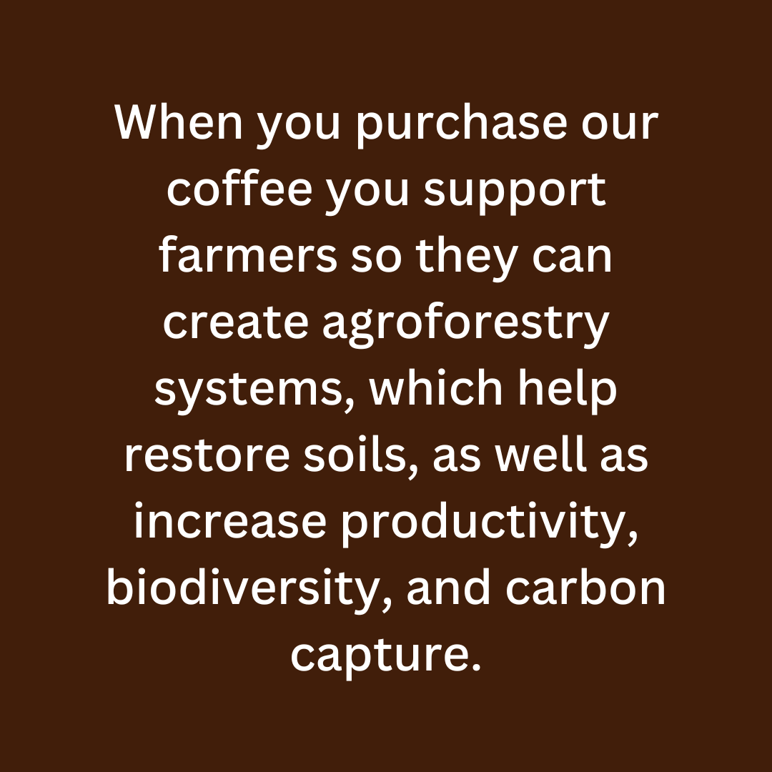 Desert Sun Coffee tweet media