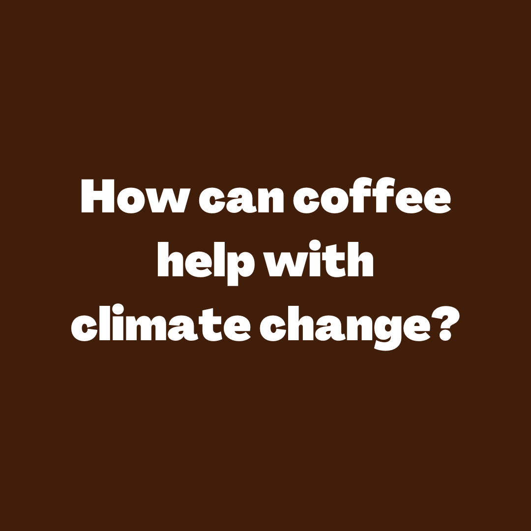 Desert Sun Coffee tweet media