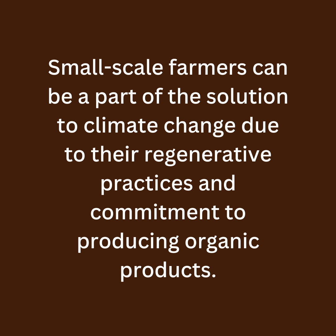 Desert Sun Coffee tweet media