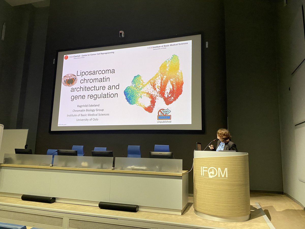 tiziana bonaldi tweet media