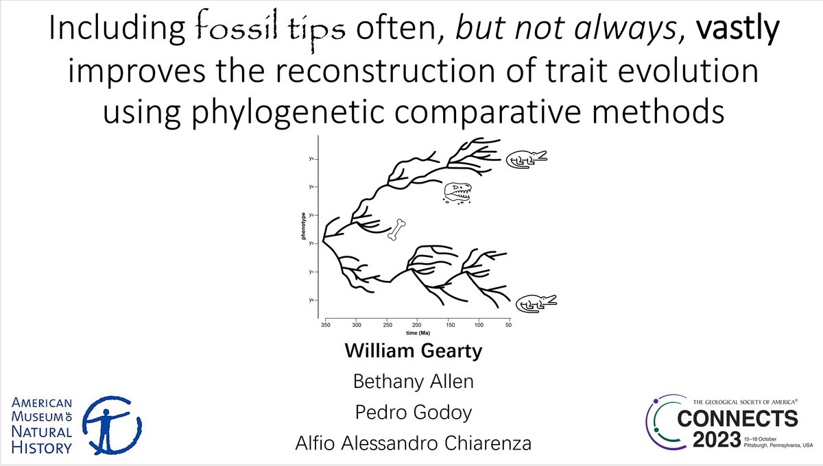 Attending #GSA2023 and interested in #fossils and #phylogenetics? Come check out my talk at the crack of dawn (8:05 am) tomorrow in Room 301/302. And then stick around for the rest of what is bound to be a fantastic session on all things #computational #paleobiology!