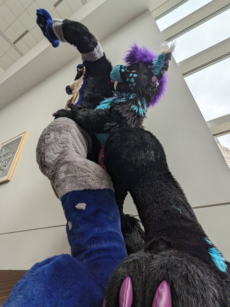 Looks like @NexusFolf got the drop on @BDawgTheHusky for this #MacroMonday !