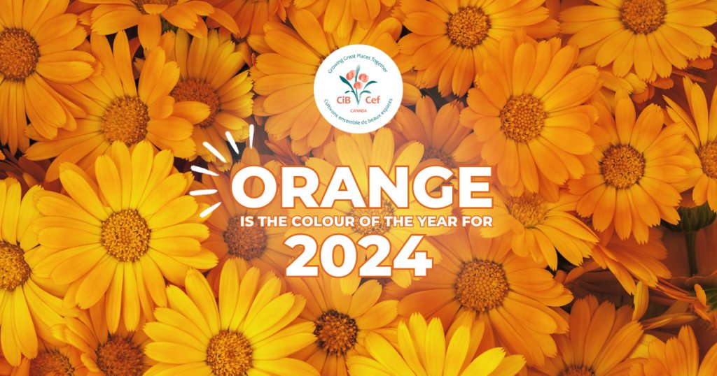 StokeSeeds's tweet photo. Pssst.. have you heard?🧡 @cibcef  
#orangeisin #StokesSeeds #StartWithStokes #Flowers https://t.co/8T6tx8sFtz