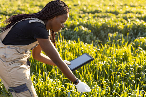ElijahBosco's tweet photo. There is an urgent need for African governments to prioritize investments in climate-smart farming techniques. Together, we can ensure that agricultural systems are resilient enough to face the challenges of a changing climate in the future. #COP28UAE #COP28 #AdaptationFinancing https://t.co/OPhwdbHU9l