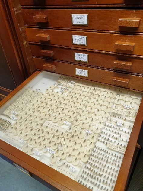 Nat_SCA's tweet image. Brand new blog out today 'Discovering Treasures in the Depths of the Dagnall' @DagnallLab wp.me/p2FTB9-232