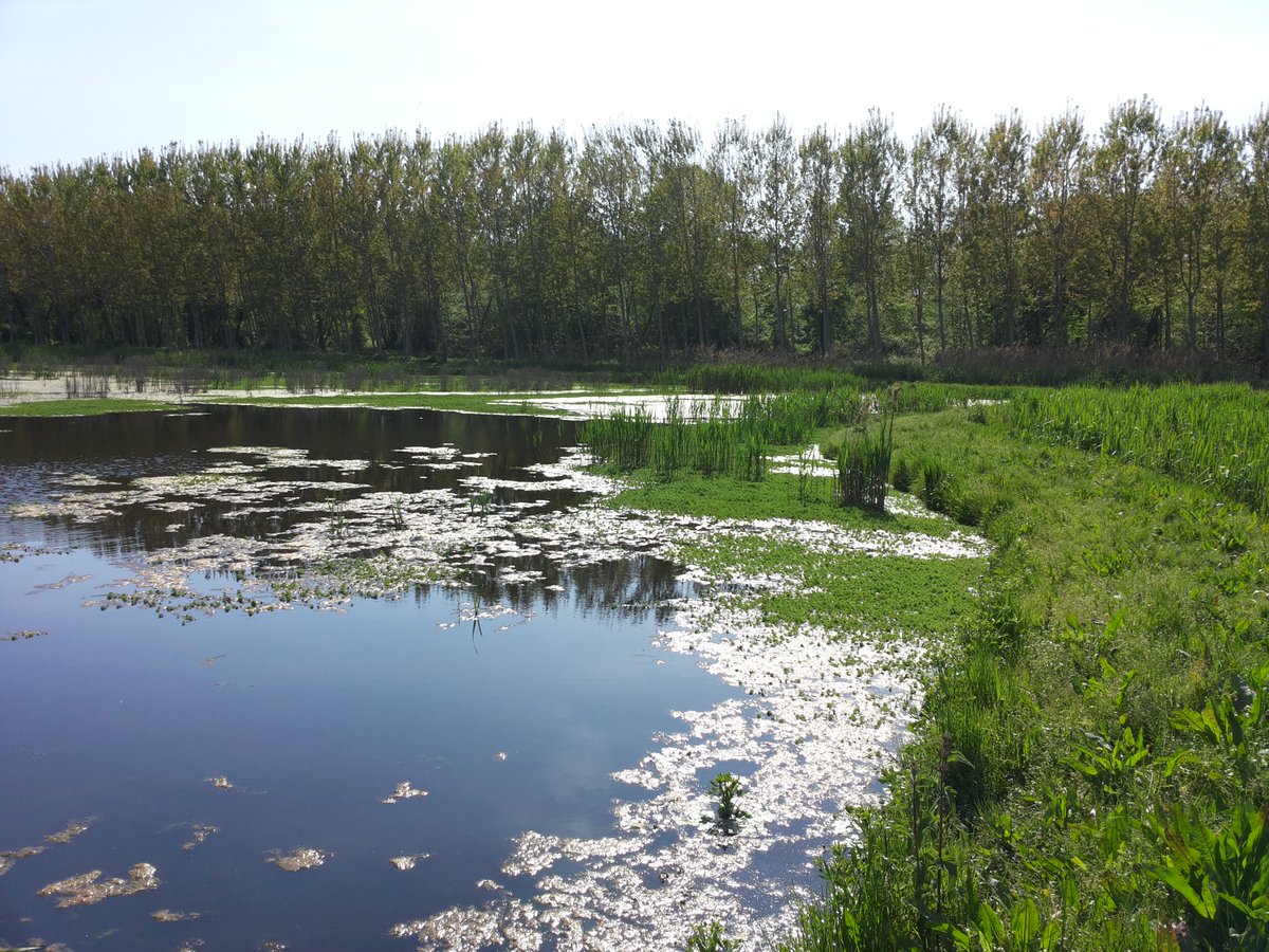Res_EAU tweet media