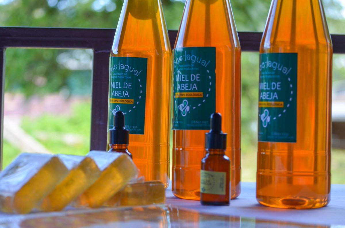 Invertir en las #MujeresRurales es invertir en resiliencia!

Felipa nos muestra cómo el acceso a la tierra por parte de las #mujeresrurales se transforma en empoderamiento, #seguridadalimentaria y #desarrollolocal en 🇨🇷
🍃bit.ly/3POo4Vy
<a href="/theGEF/">Global Environment Facility (GEF)</a> <a href="/GEF_SGP/">Small Grants Programme</a> <a href="/PNUD_CR/">PNUD CR</a> <a href="/PNUDLAC/">PNUD América Latina y el Caribe</a>