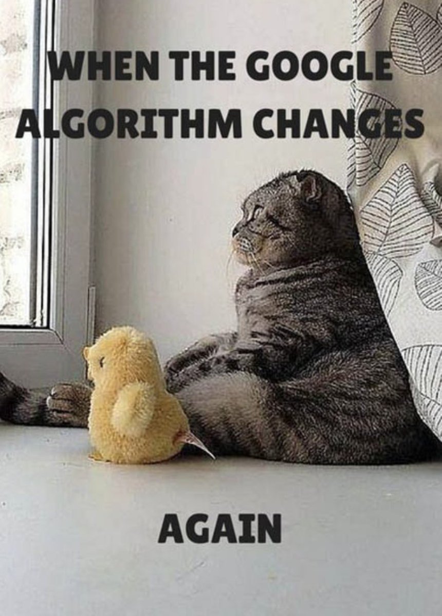 TechtonicCopy's tweet image. A lot of clients feel this way and we TOTALLY get it 😂 That&apos;s what we are here for 😌 #funny #meme #DigitalMarketing
