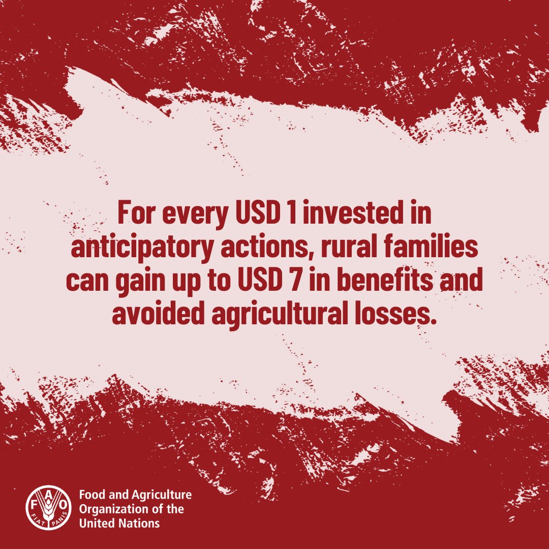 FAOstatistics's tweet photo. The @FAO Flagship report on the impact of disasters on agriculture &amp; food security 2023  is out

This report brings the first ever global level estimation of the impact of disasters on agriculture

📕https://t.co/fWiLeIX8DN

#DisasterRiskReduction https://t.co/ym2yo3fJak