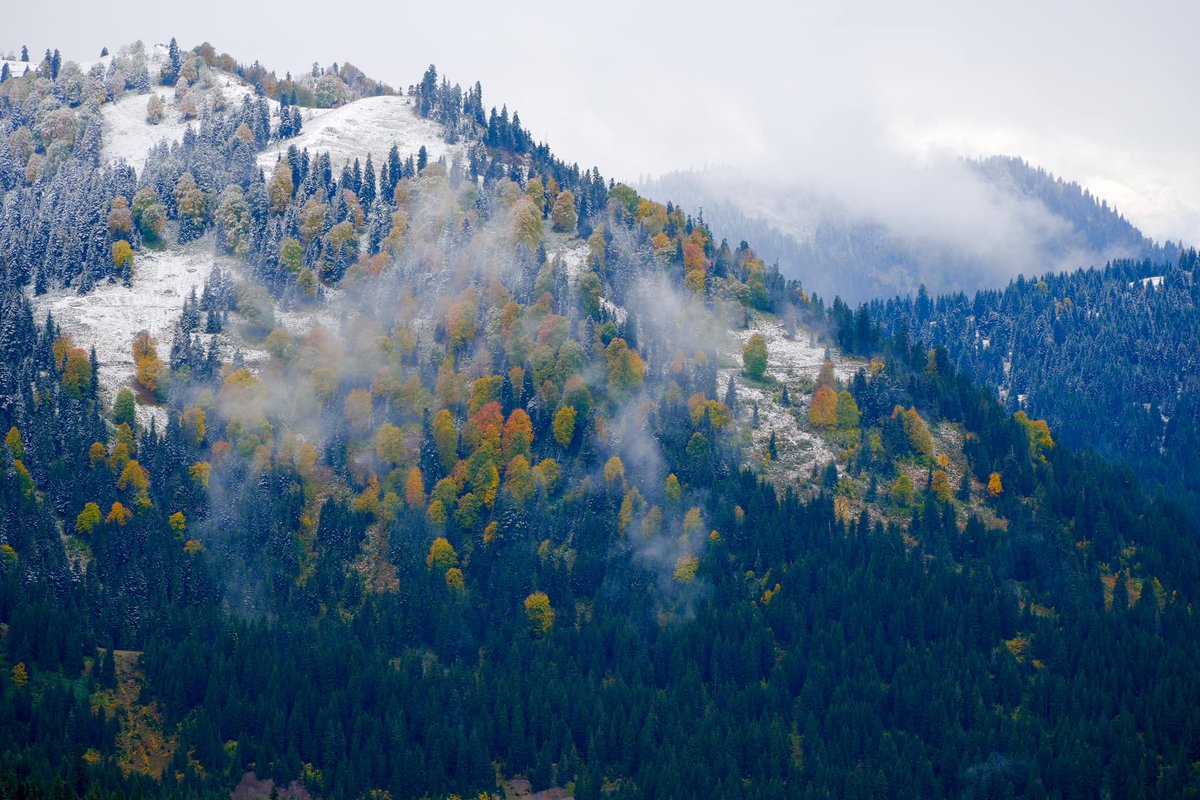 tata_chemia's tweet photo. As my friend and the author of these photos @Zakariachelidze says, Autumn meets winter in #Goderdzi
๐ธ Zakaria Chelidze
#Ajara #Georgia https://t.co/0o2V00HRlw