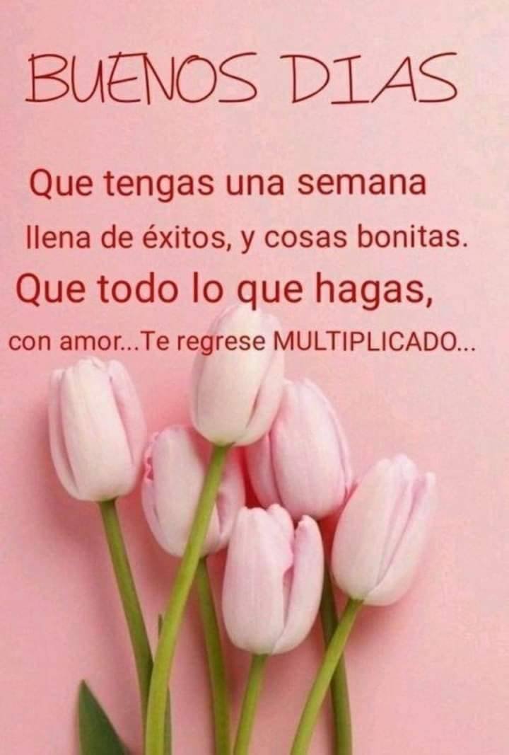 Elizabeth_C_M_'s tweet photo. Buen inicio de semana empezamos con toda actitud positiva 🌻😃 https://t.co/nD6FNjfdus