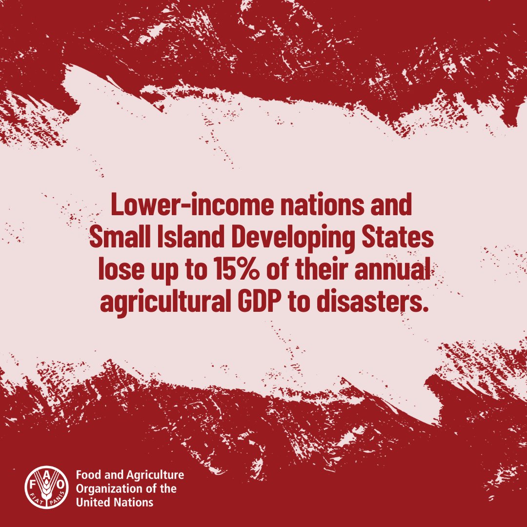 The @FAO Flagship report on the impact of disasters on agriculture & food security 2023 is out This report brings the first ever global level estimation of the impact of disasters on agriculture 📕fao.org/documents/card… #DisasterRiskReduction
